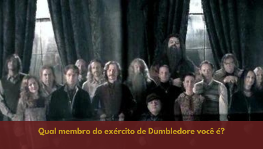 Qual membro do exército de Dumbledore você é?