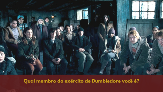 Qual membro do exército de Dumbledore você e