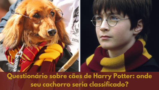 Questionário sobre cães de Harry Potter: onde seu cachorro seria classificado?