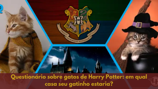 Questionário sobre gatos de Harry Potter: em qual casa seu gatinho estaria?