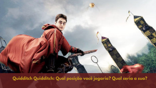 Quidditch Quidditch: Qual posição você jogaria? Qual seria a sua?